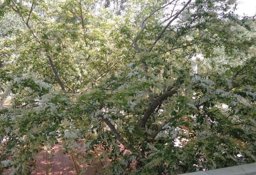 هتل Villa Panorama