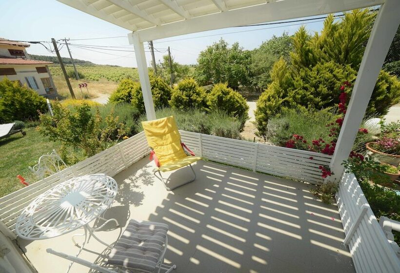 تختخواب و صبحانه Aspasia House