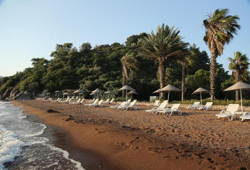 هتل Golden Key Hisaronu
