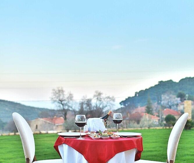 هتل Ida Tas Konak