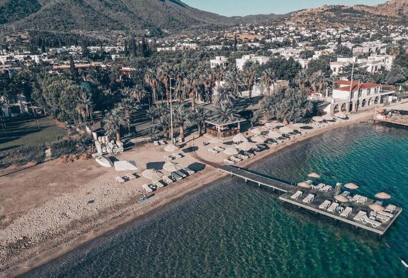 هتل Selvi Beach