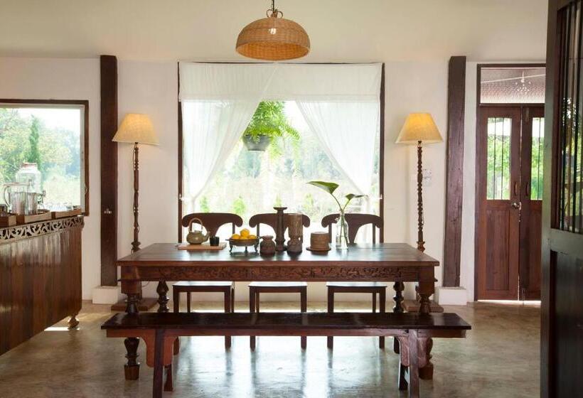 تختخواب و صبحانه Foresta Villa