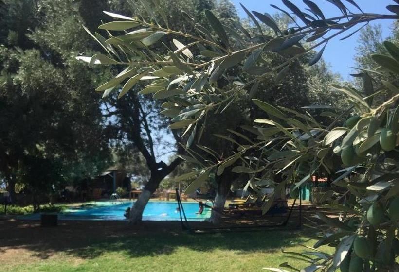 Курорт Bahar Bahce Datca