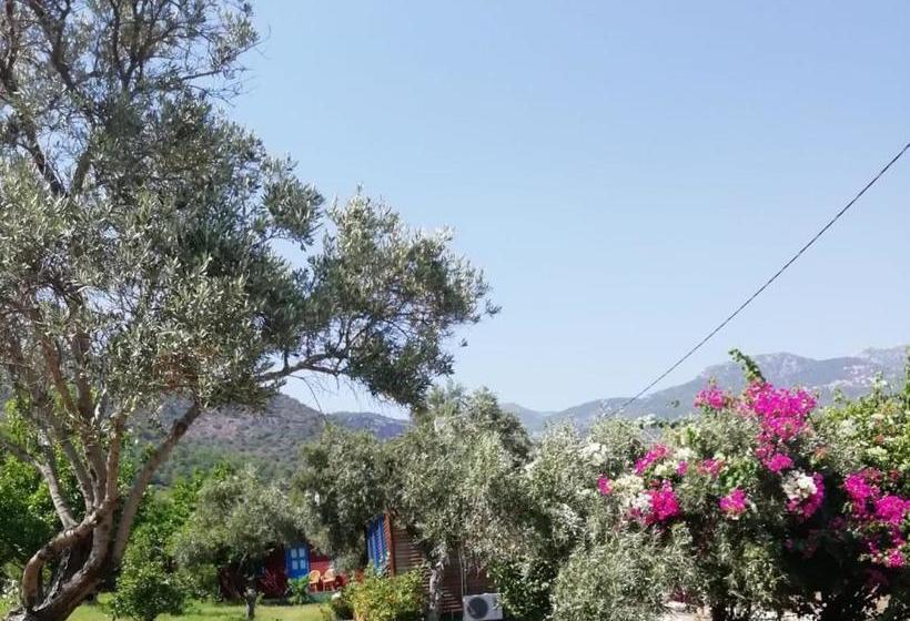 אתר נופש Bahar Bahce Datca