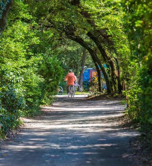 The Castle Bed & Breakfast