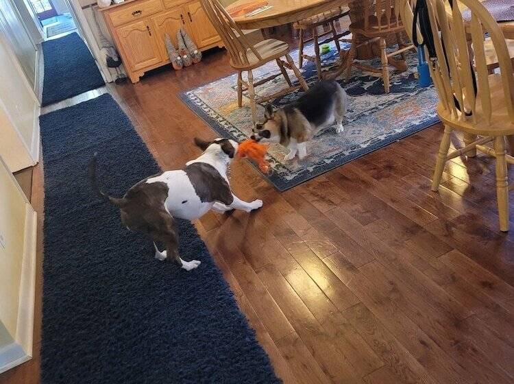 تختخواب و صبحانه Tybee Island Inn