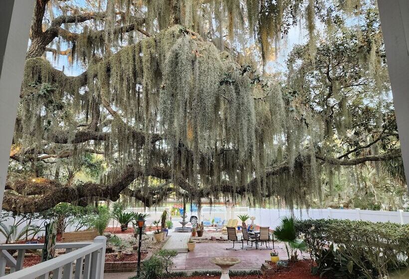 تختخواب و صبحانه Tybee Island Inn