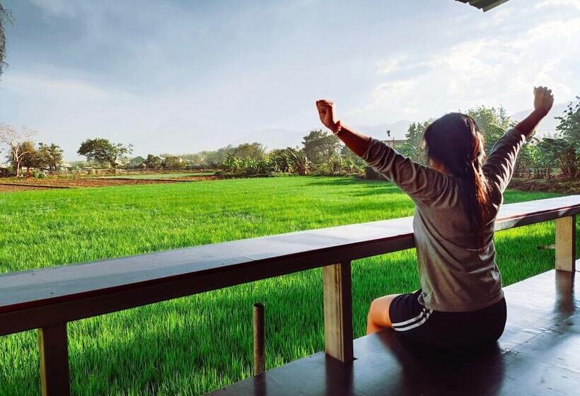 تختخواب و صبحانه Bua Patumma Resort