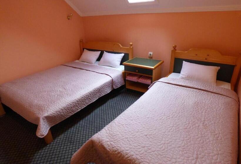 تختخواب و صبحانه Vila Palma Palic