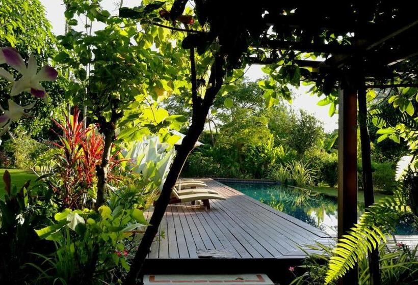 تختخواب و صبحانه Villa Albizia, Chiang Mai