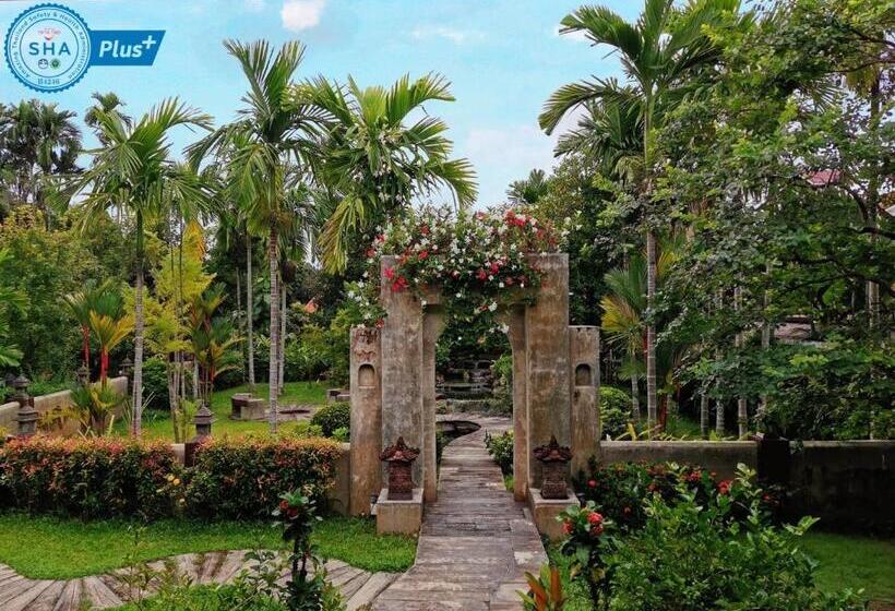 هتل Maryo Resort Chiangrai   Sha Plus