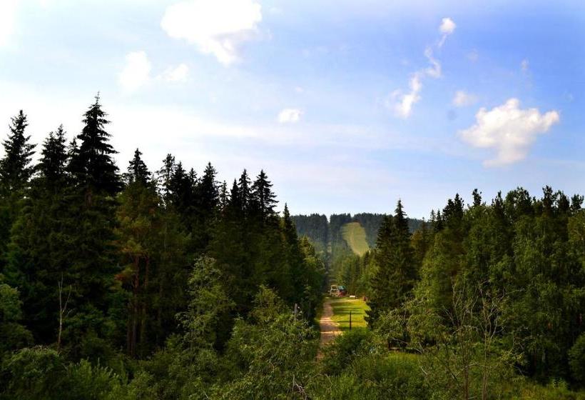 בית מלון כפרי Guest House Puteshestvennik