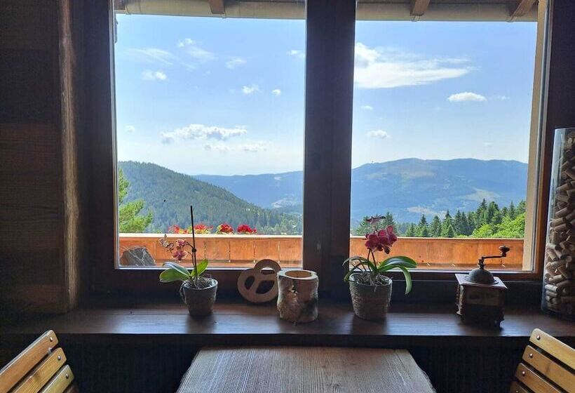 住宿加早餐  Hôtel Restaurant Le Schallern