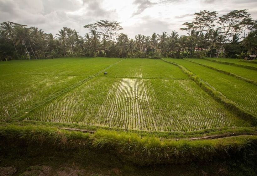 호텔 Dwaraloka Retreat Ubud