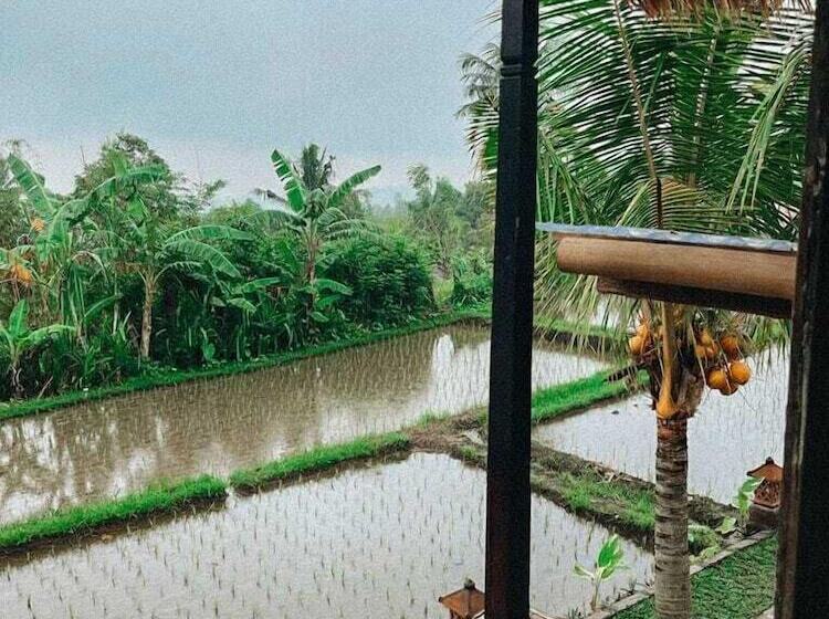 Pondok Apsari 2