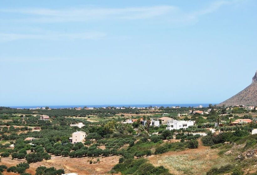 Chrysiida Suites