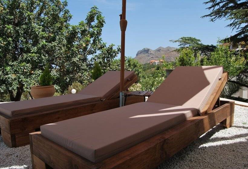 Chrysiida Suites