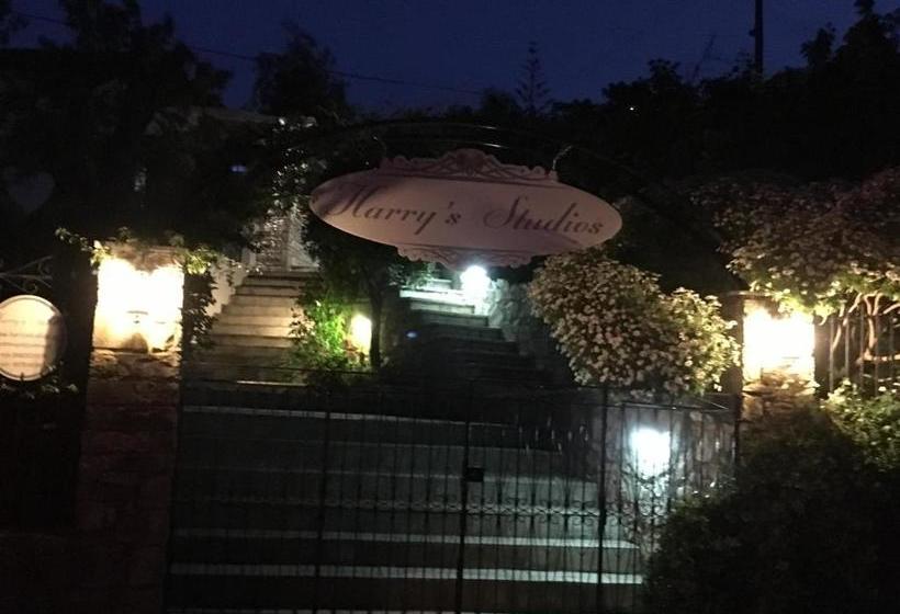 Harry S Studios