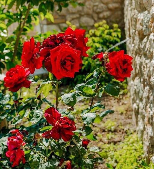 هتل Natura Luxury Suites Parga