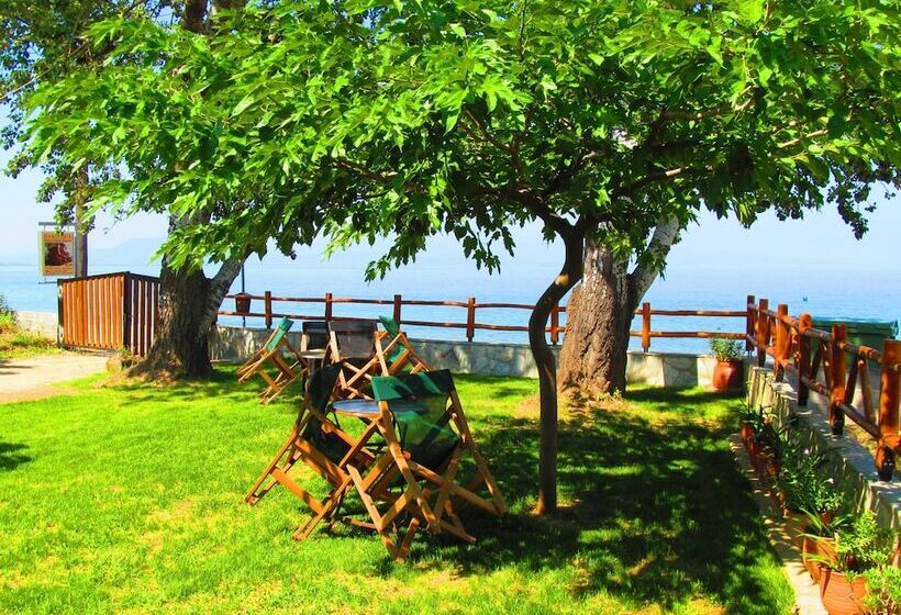 هتل Pandora Studios