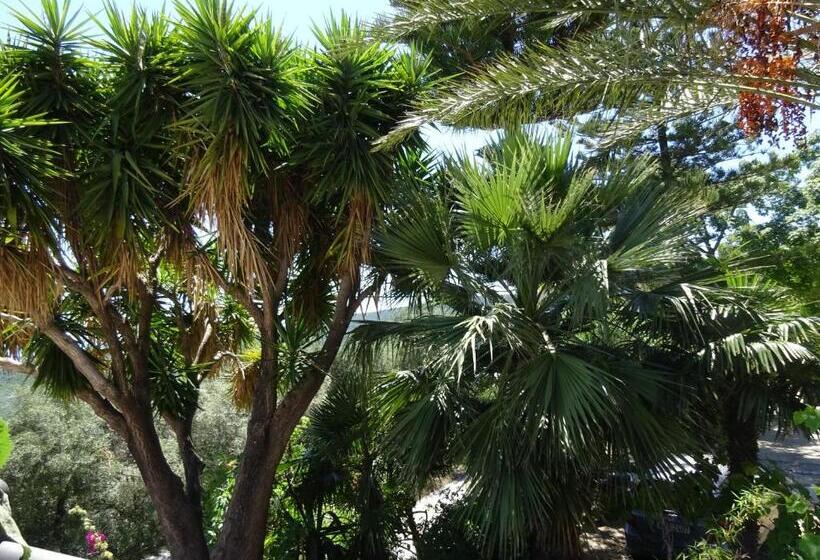 هتل Studio Ristas 2