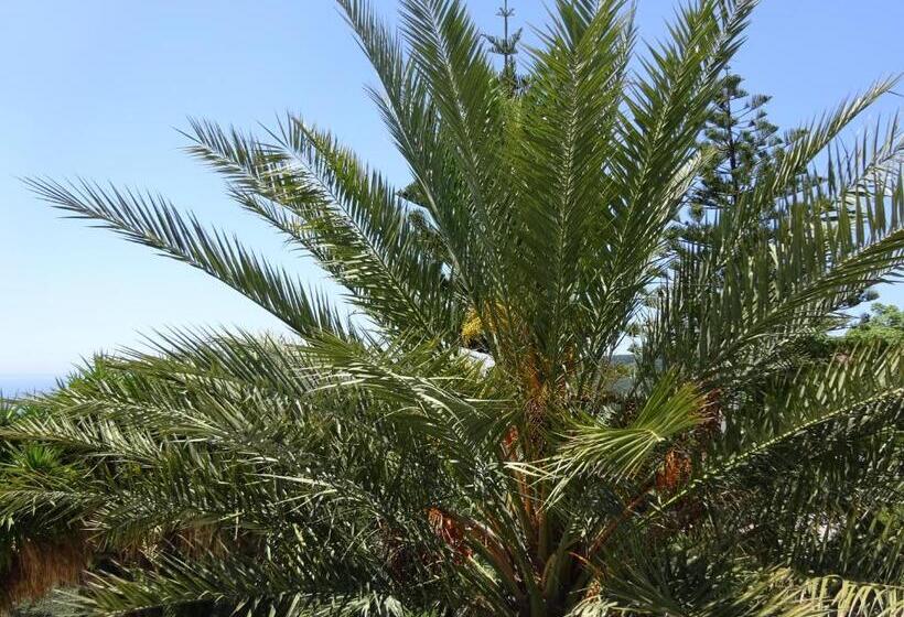 هتل Studio Ristas 2