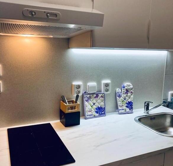 酒店 Apartmány, Penzion, Wellness U Zlaté Rybky
