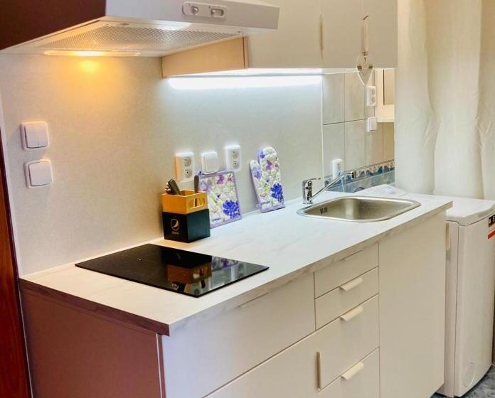 酒店 Apartmány, Penzion, Wellness U Zlaté Rybky