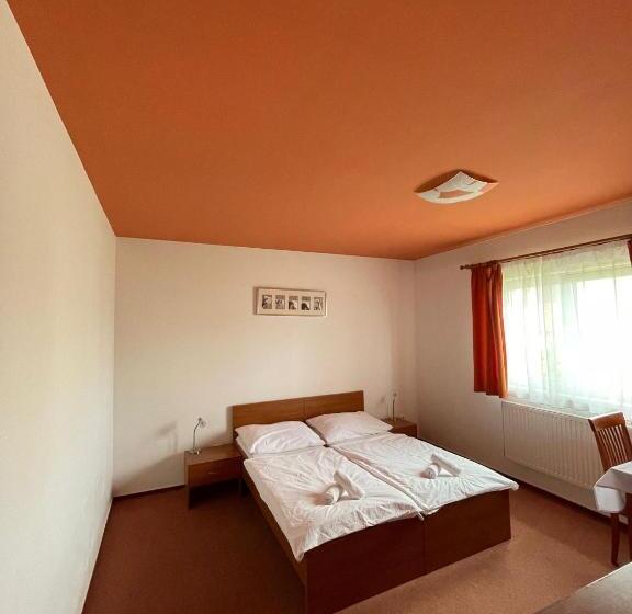 酒店 Apartmány, Penzion, Wellness U Zlaté Rybky