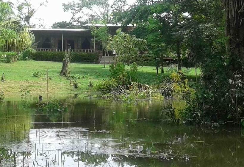 فندق Caño Negro Wetlands Lodge