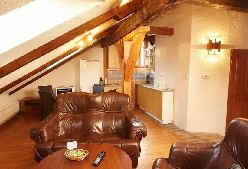 هتل Residence Muzeum Vltavinu