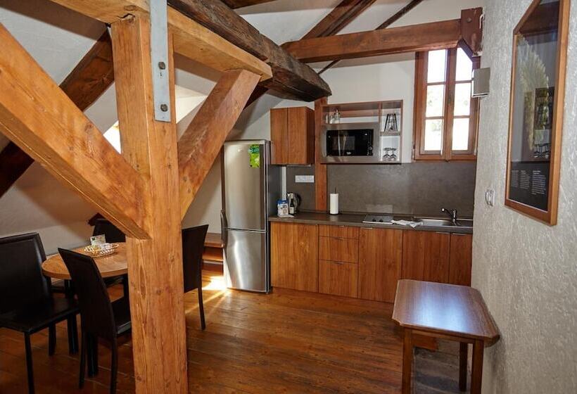 هتل Residence Muzeum Vltavinu