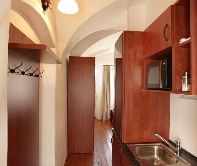 هتل Residence Muzeum Vltavinu