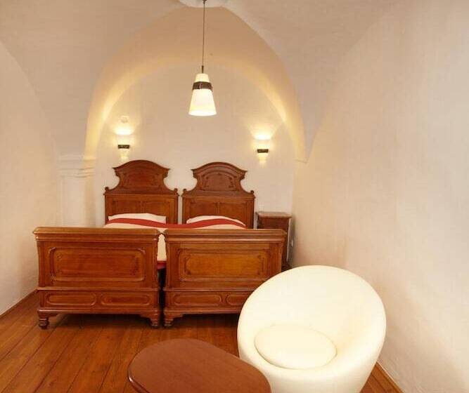 هتل Residence Muzeum Vltavinu