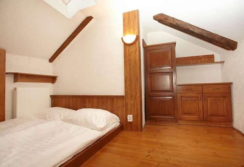 هتل Residence Muzeum Vltavinu