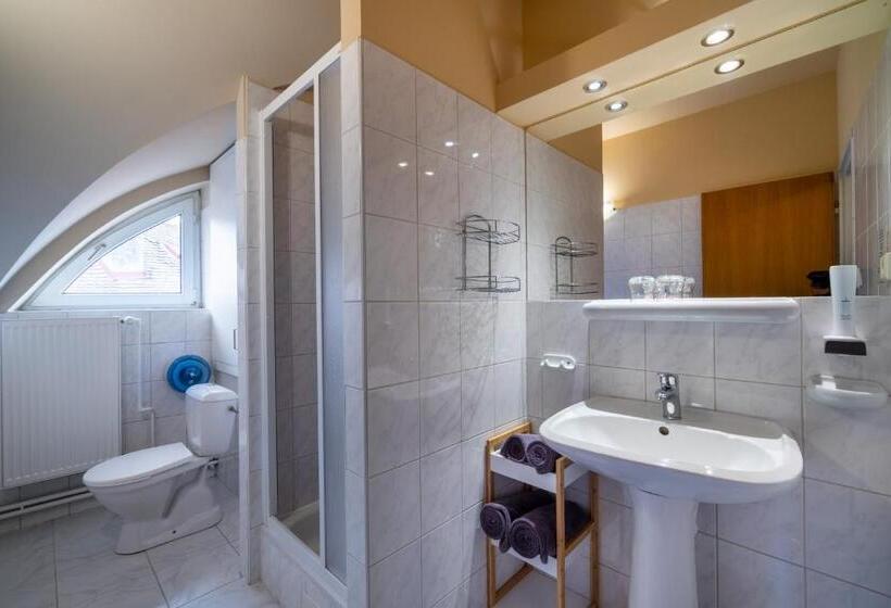 هتل U Vlašského Dvora