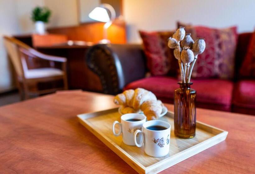 هتل U Vlašského Dvora