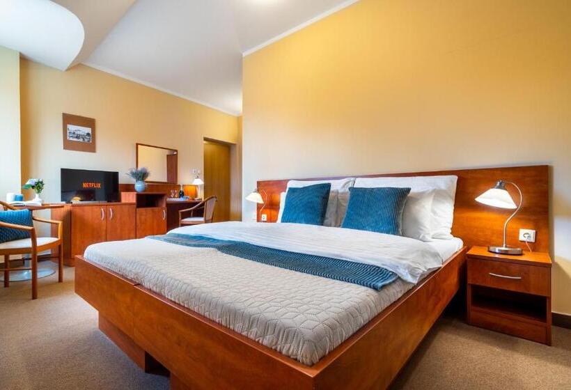 هتل U Vlašského Dvora