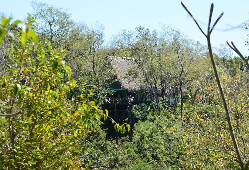住宿加早餐  Treetops Inn