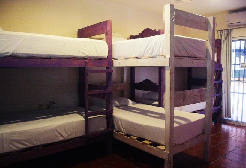 فندق The Yak Hostel