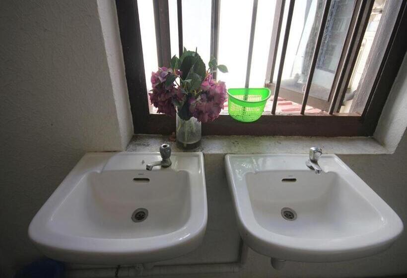 Cocoa Mews Cafe & Homestay   Hostel