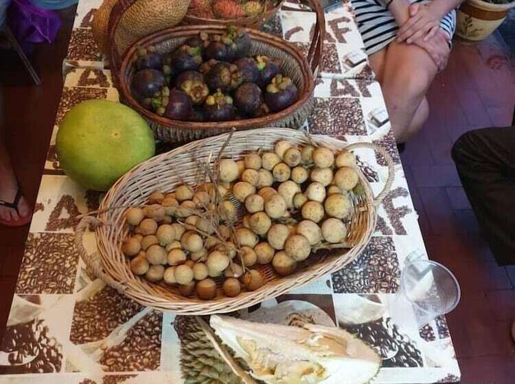 Cocoa Mews Cafe & Homestay   Hostel