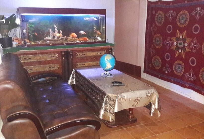B&b Bahodir