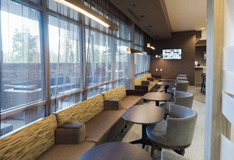 هتل Springhill Suites By Marriott Somerset Franklin Township