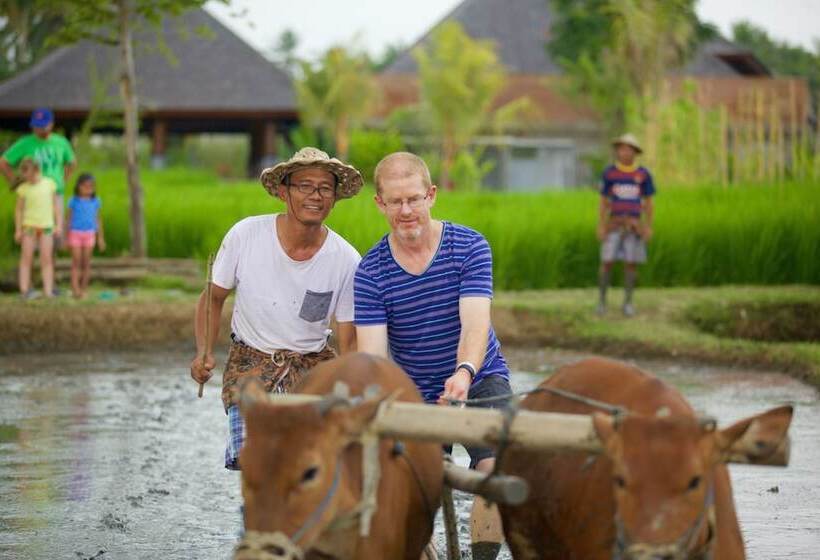 هتل Visesa Ubud Resort