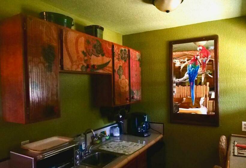 Общежитие The Huisache Room The Ranch House Motel