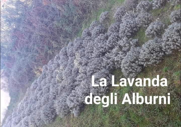 ホテル Residenza Rurale L Antico Castagneto