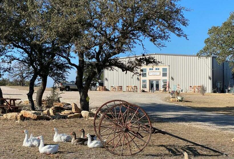 旅馆 Bluebonnet Cabin