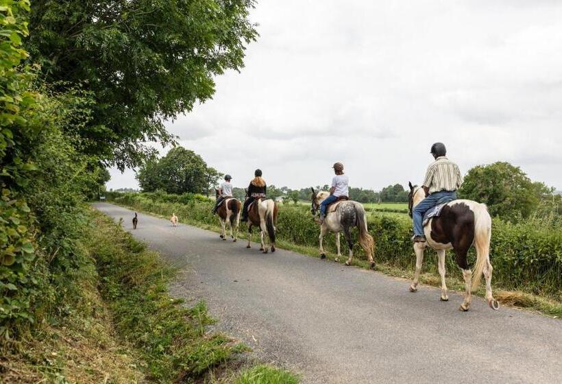 住宿加早餐  Chambres D Hôtes Coeur De Bastié Et Ranch Du Lévézou