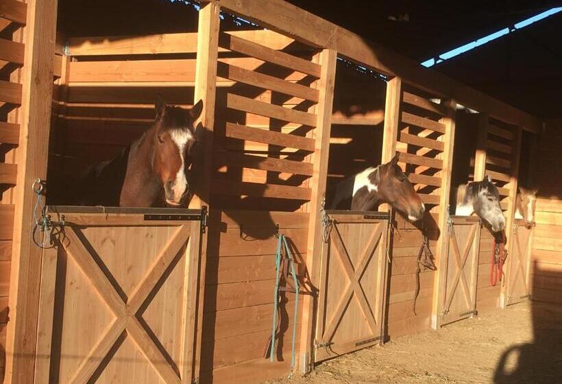 住宿加早餐  Chambres D Hôtes Coeur De Bastié Et Ranch Du Lévézou